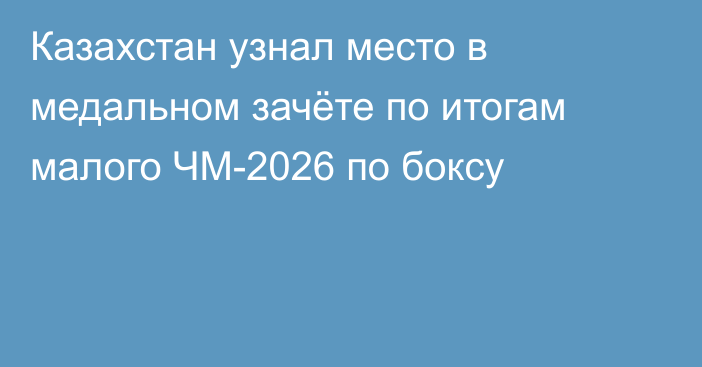 Казахстан узнал место в медальном зачёте по итогам малого ЧМ-2026 по боксу