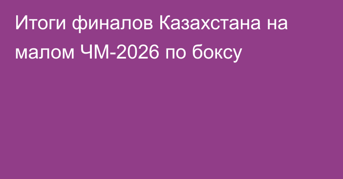 Итоги финалов Казахстана на малом ЧМ-2026 по боксу
