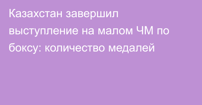 Казахстан завершил выступление на малом ЧМ по боксу: количество медалей