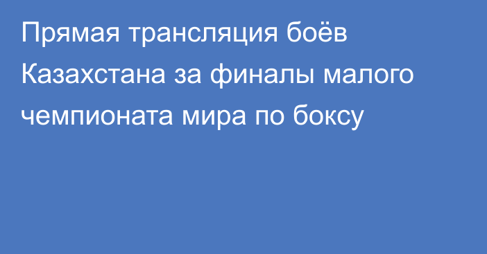 Прямая трансляция боёв Казахстана за финалы малого чемпионата мира по боксу