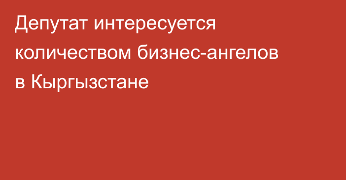 Депутат интересуется количеством бизнес-ангелов в Кыргызстане
