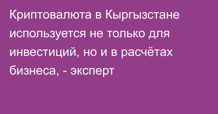 Криптовалюта в Кыргызстане используется не только для инвестиций, но и в расчётах бизнеса, - эксперт