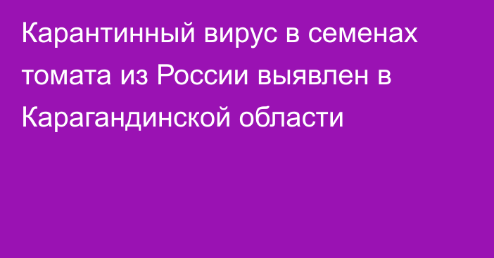 Карантинный вирус в семенах томата из России выявлен в Карагандинской области