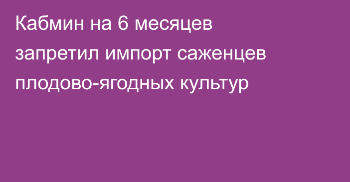 Кабмин на 6 месяцев запретил импорт саженцев плодово-ягодных культур