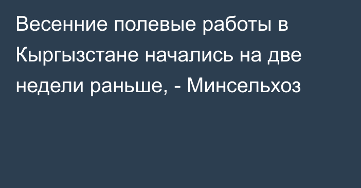 Весенние полевые работы в Кыргызстане начались на две недели раньше, - Минсельхоз