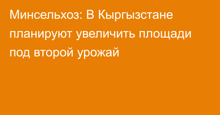 Минсельхоз: В Кыргызстане планируют увеличить площади под второй урожай