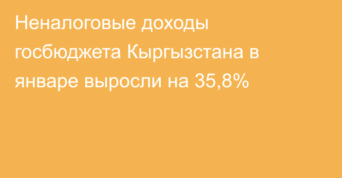 Неналоговые доходы госбюджета Кыргызстана в январе выросли на 35,8%