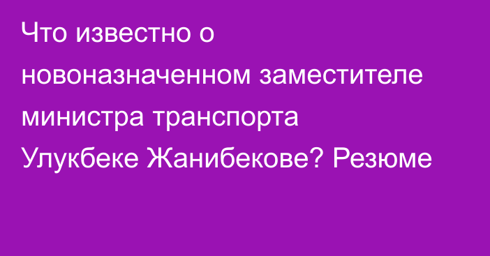 Что известно о новоназначенном заместителе министра транспорта Улукбеке Жанибекове? Резюме