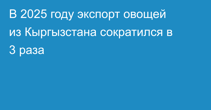 В 2025 году экспорт овощей из Кыргызстана сократился в 3 раза
