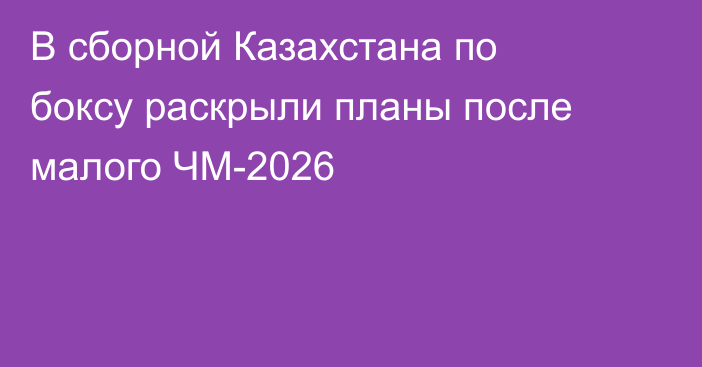 В сборной Казахстана по боксу раскрыли планы после малого ЧМ-2026