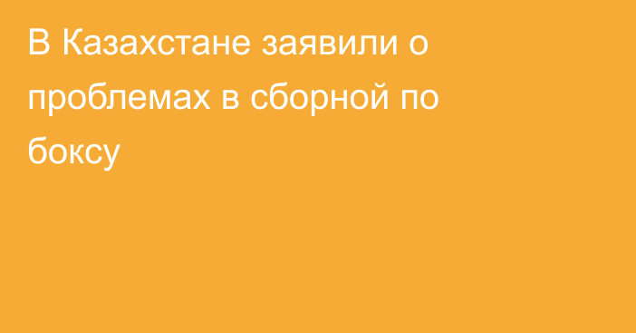 В Казахстане заявили о проблемах в сборной по боксу