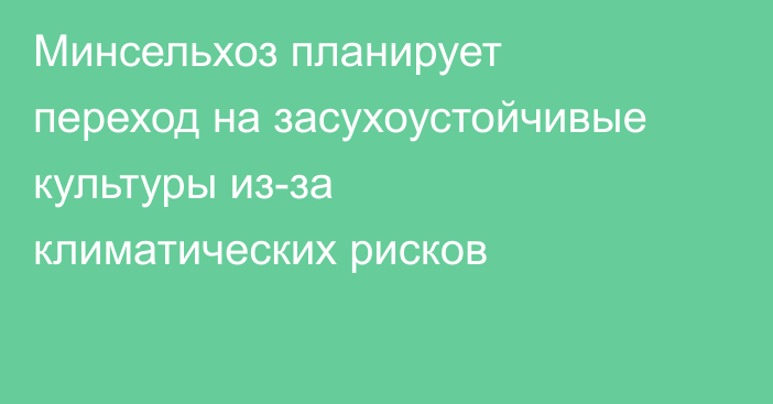 Минсельхоз планирует переход на засухоустойчивые культуры из-за климатических рисков