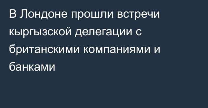 В Лондоне прошли встречи кыргызской делегации с британскими компаниями и банками