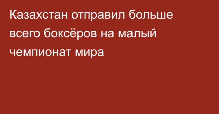 Казахстан отправил больше всего боксёров на малый чемпионат мира