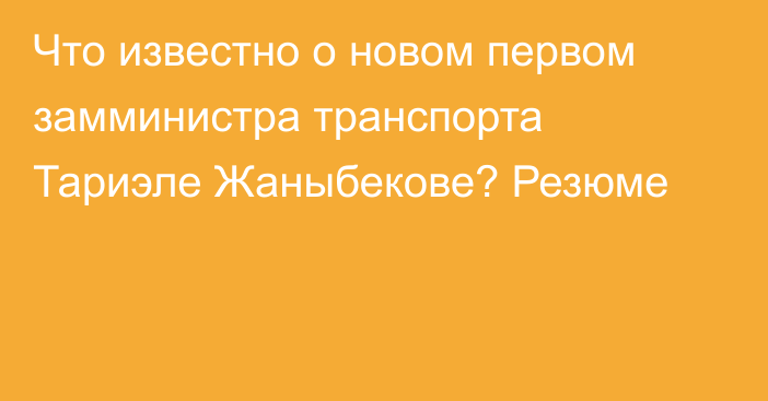 Что известно о новом первом замминистра транспорта Тариэле Жаныбекове? Резюме