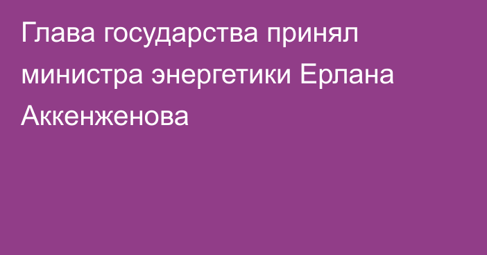 Глава государства принял министра энергетики Ерлана Аккенженова