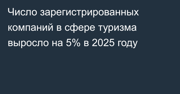 Число зарегистрированных компаний в сфере туризма выросло на 5% в 2025 году