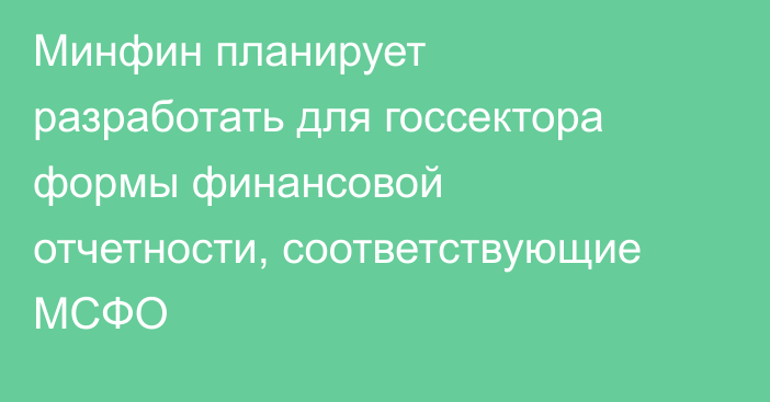 Минфин планирует разработать для госсектора формы финансовой отчетности, соответствующие МСФО