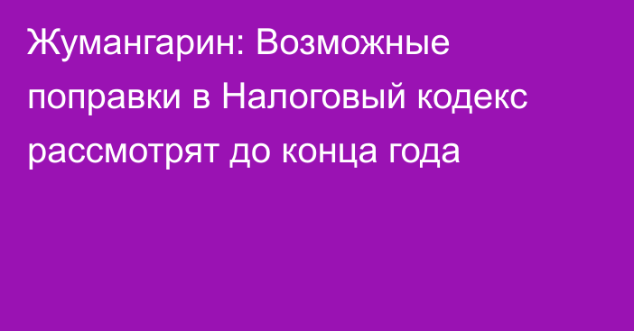 Жумангарин: Возможные поправки в Налоговый кодекс рассмотрят до конца года