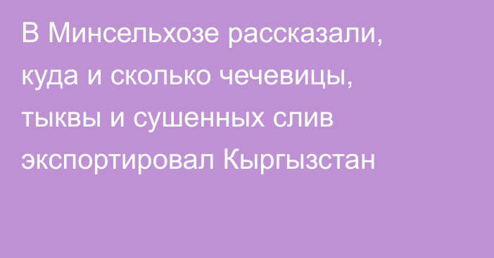 В Минсельхозе рассказали, куда и сколько чечевицы, тыквы и сушенных слив экспортировал Кыргызстан