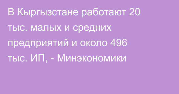 В Кыргызстане работают 20 тыс. малых и средних предприятий и около 496 тыс. ИП, - Минэкономики