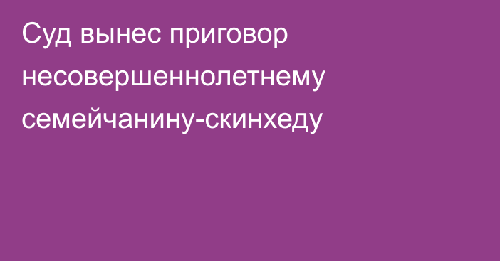 Суд вынес приговор несовершеннолетнему семейчанину-скинхеду
