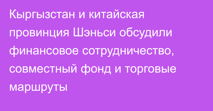 Кыргызстан и китайская провинция Шэньси обсудили финансовое сотрудничество, совместный фонд и торговые маршруты