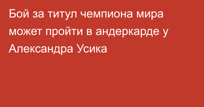 Бой за титул чемпиона мира может пройти в андеркарде у Александра Усика