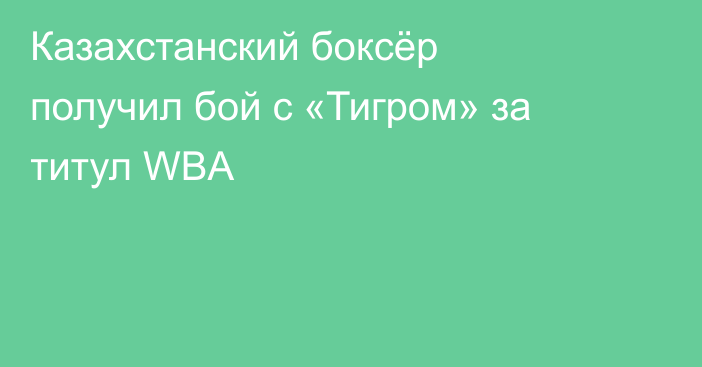 Казахстанский боксёр получил бой с «Тигром» за титул WBA