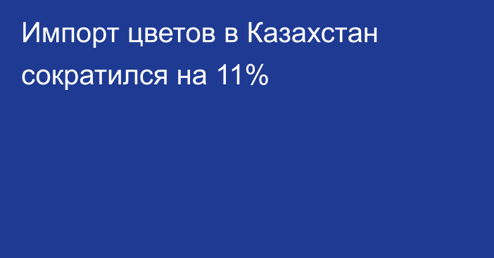 Импорт цветов в Казахстан сократился на 11%
