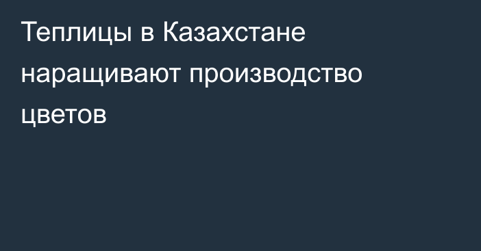 Теплицы в Казахстане наращивают производство цветов