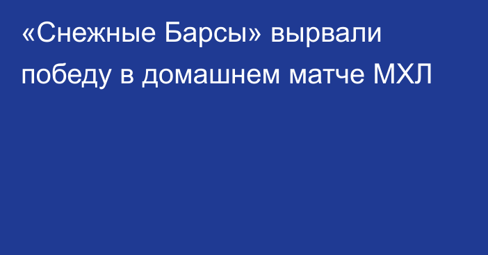 «Снежные Барсы» вырвали победу в домашнем матче МХЛ