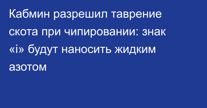 Кабмин разрешил таврение скота при чипировании: знак «i» будут наносить жидким азотом