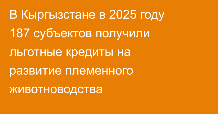 В Кыргызстане в 2025 году 187 субъектов получили льготные кредиты на развитие племенного животноводства