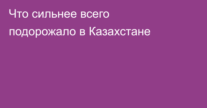 Что сильнее всего подорожало в Казахстане