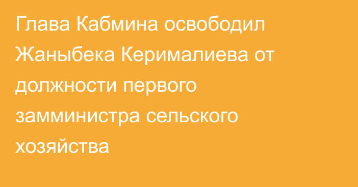 Глава Кабмина освободил Жаныбека Керималиева от должности первого замминистра сельского хозяйства