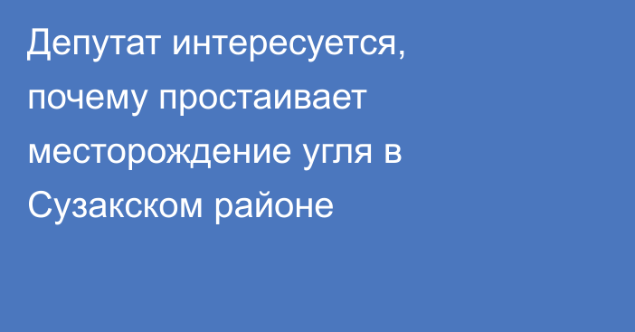 Депутат интересуется, почему простаивает месторождение угля в Сузакском районе