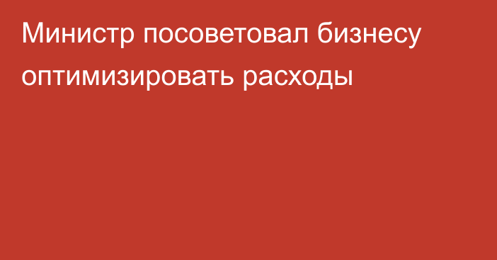 Министр посоветовал бизнесу оптимизировать расходы