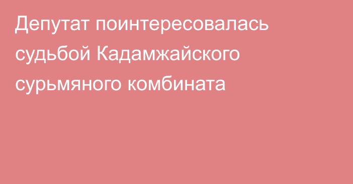 Депутат поинтересовалась судьбой Кадамжайского сурьмяного комбината