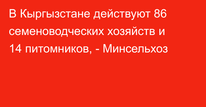 В Кыргызстане действуют 86 семеноводческих хозяйств и 14 питомников, - Минсельхоз