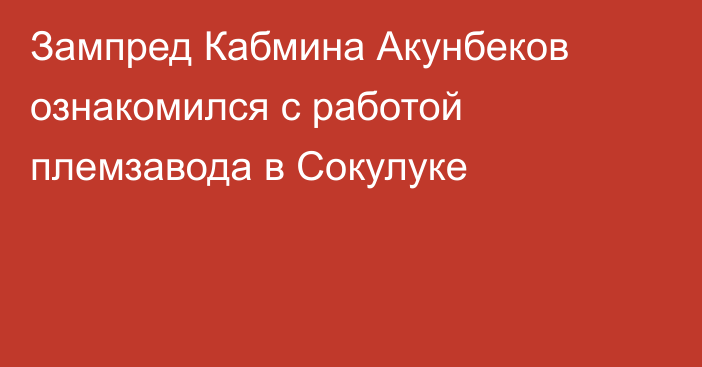 Зампред Кабмина Акунбеков ознакомился с работой племзавода в Сокулуке