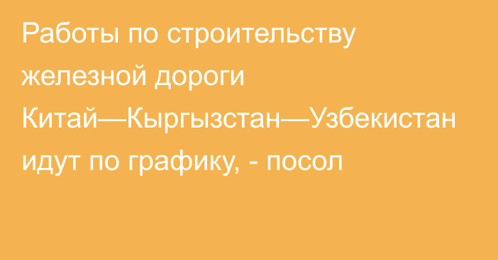 Работы по строительству железной дороги Китай—Кыргызстан—Узбекистан идут по графику, - посол