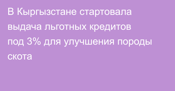 В Кыргызстане стартовала выдача льготных кредитов под 3% для улучшения породы скота