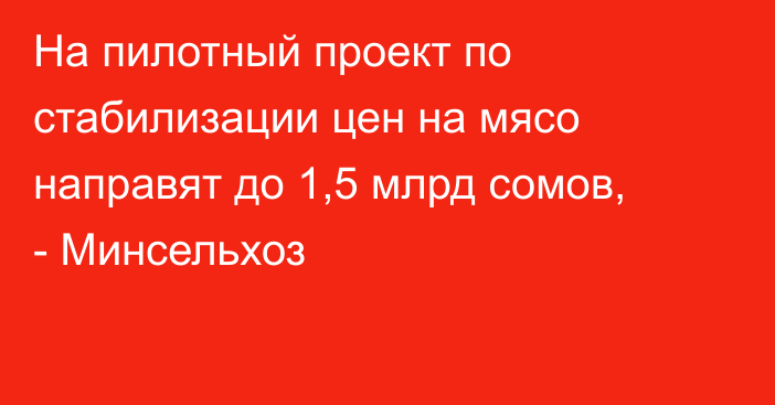 На пилотный проект по стабилизации цен на мясо направят до 1,5 млрд сомов, - Минсельхоз