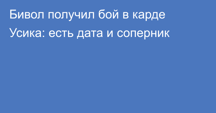 Бивол получил бой в карде Усика: есть дата и соперник