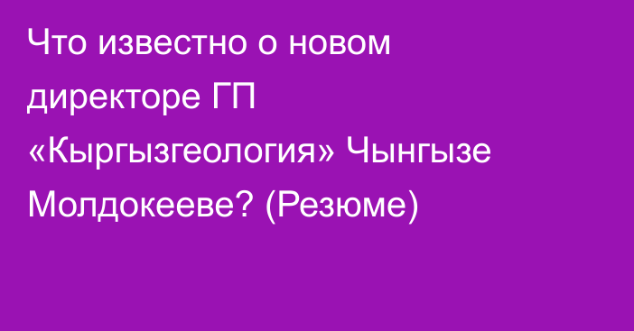 Что известно о новом директоре ГП «Кыргызгеология» Чынгызе Молдокееве? (Резюме)