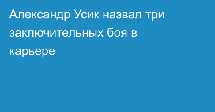 Александр Усик назвал три заключительных боя в карьере