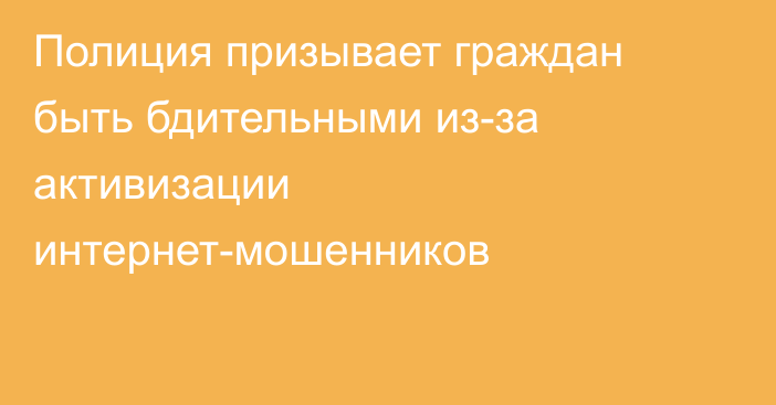 Полиция призывает граждан быть бдительными из-за активизации интернет-мошенников