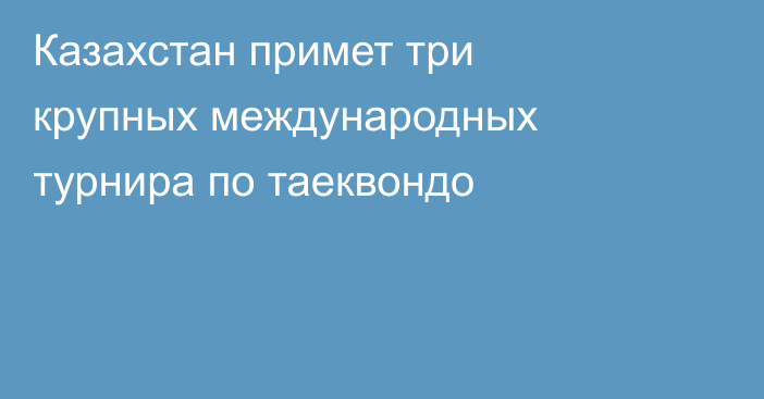 Казахстан примет три крупных международных турнира по таеквондо