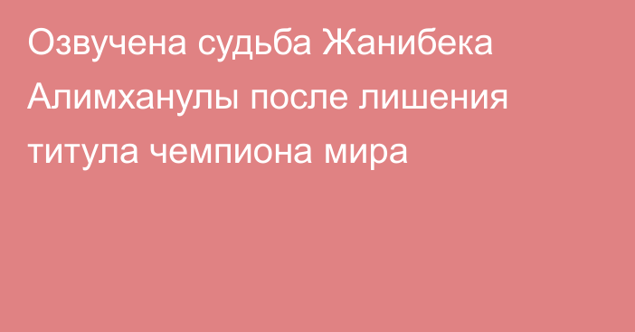 Озвучена судьба Жанибека Алимханулы после лишения титула чемпиона мира